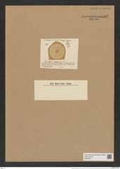 Actinoptychus ceylanensis Lend.-Fortm. (de-Toni-Nr.: Genus 227, Species 5563) Zeichnungen Sammlung Grunow Nr. 9592 (NHMW-BOT-W0379410)